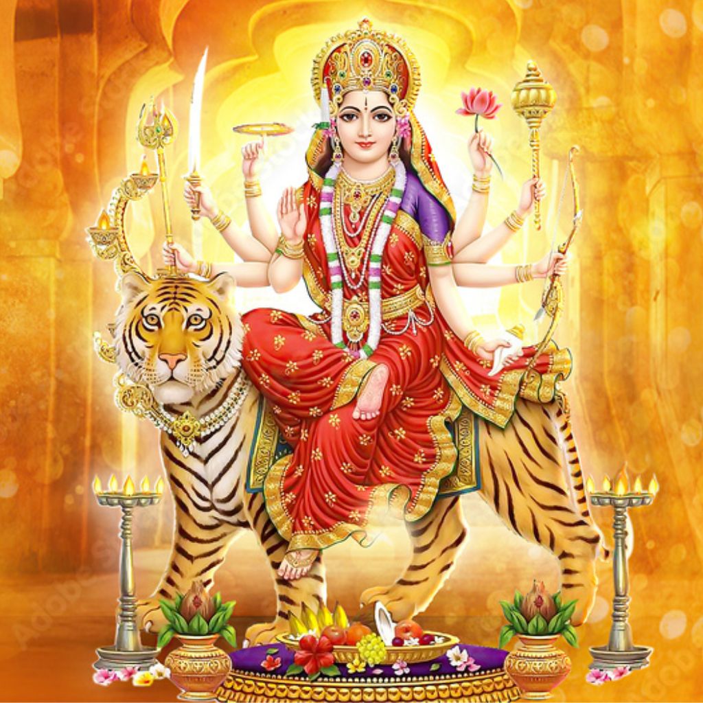 9 colors of Navratri shratales pic 3 turning passion to profession